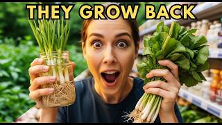 What Happens When You REGROW Veggies From the Store?