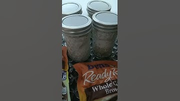 Amazonian Mycelium Colonization 🍄