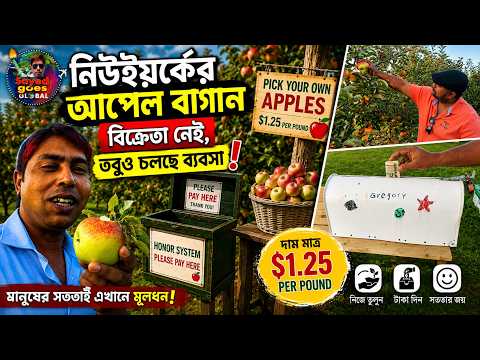 মানুষ নেই, তবুও চলছে ব্যবসা! নিউইয়র্কের সততার আপেল বাগান। Sayed Goes GLOBAL। #NewYork #ApplePicking