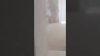 Andando De Cueca Kkkk Sem Vergonha