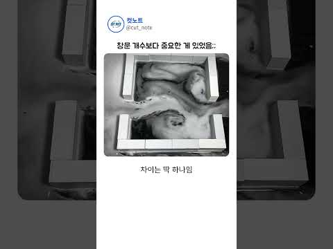 창문 두 개 열어도 환기가 안 되는 이유;; thumbnail