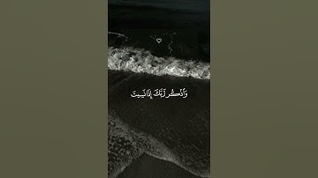 وَلَا تَقُولَنَّ لِشَيْءٍ إِنِّي فَاعِلٌ ذَٰلِكَ غَدًا|القارئ فارس عباد.