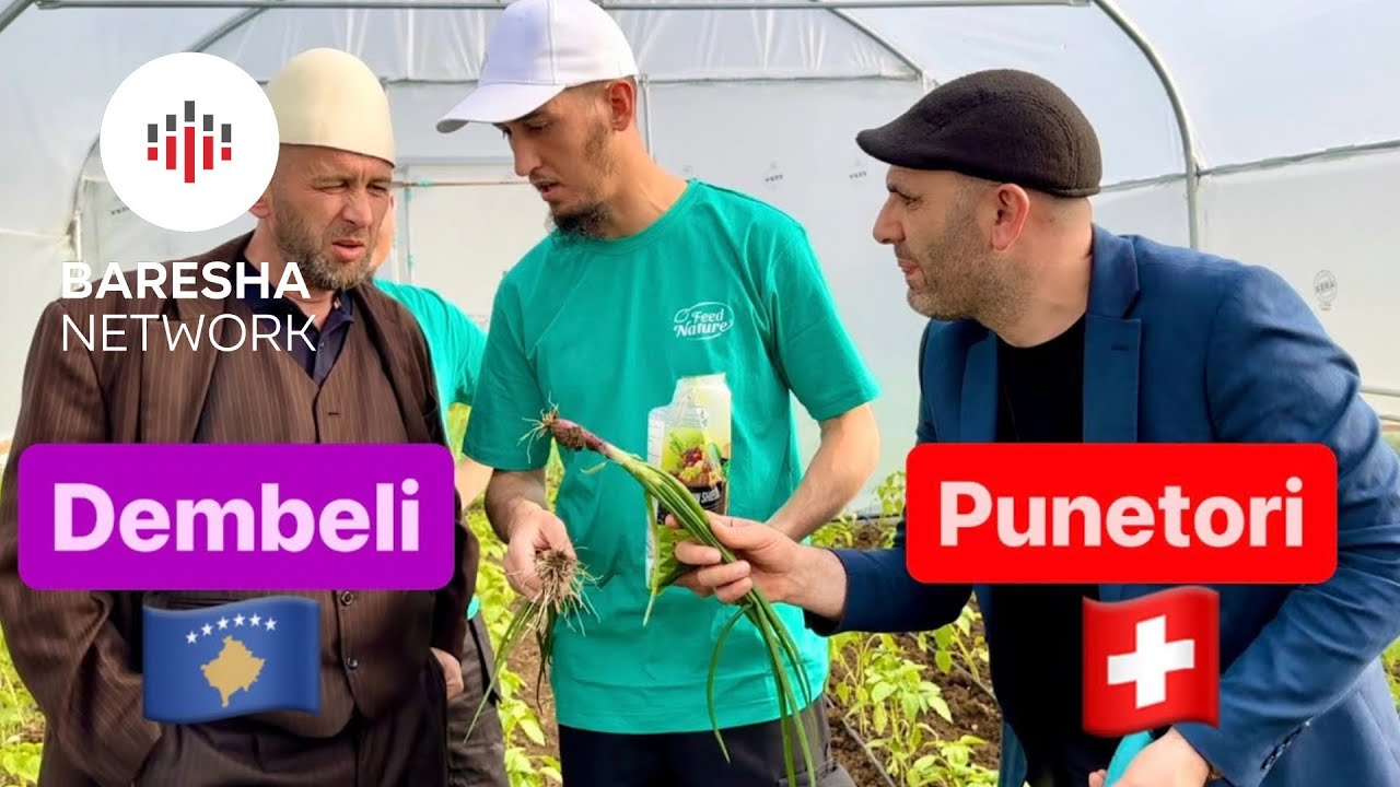 O Zot jepja Dembelit, se Punetori e fiton vet! (Zgjidhja per qdo Bujk “Feed Nature”)