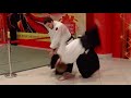 Crazy aikido demonstration from russia ft steven seagal