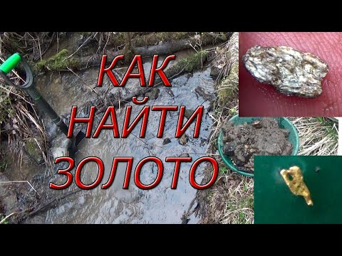 Video: Kako Najti Zlato V Zemlji