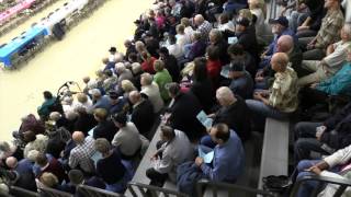 Veterans Day Program November 11, 2015