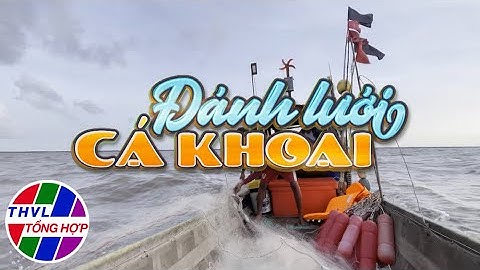 Nhịp sống đồng bằng: Đánh lưới cá khoai