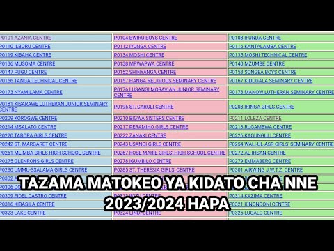 JINSI YA KUANGALIA MATOKEO YA KIDATO CHA NNE 2023 2024 NECTA FORM FOUR RESULTS