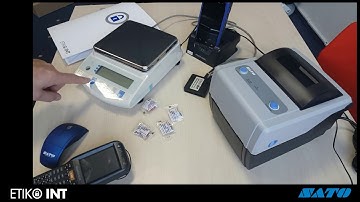 VIBRA scale and SATO printer: Direct connection
