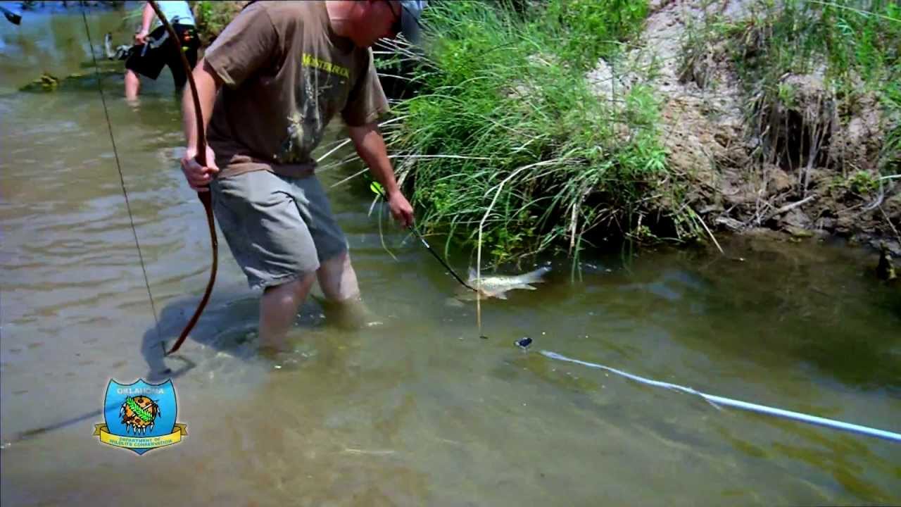 Bowfishing In Oklahoma PROMO YouTube