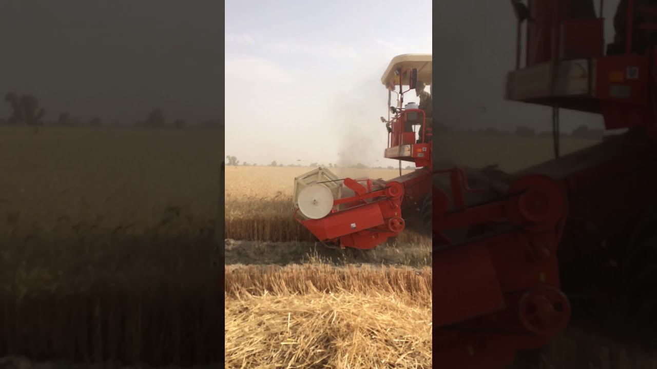 SUPER STANDARD 985 New Model