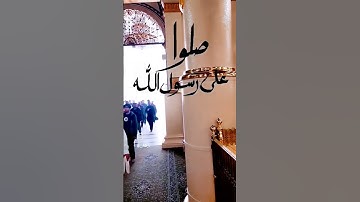 ان الله وملائكته يصلون على النبي بصوت القارئ محمد الفقيه
