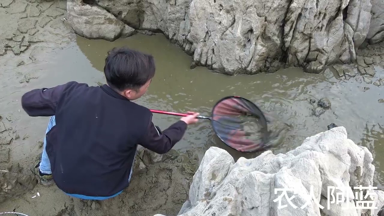 捞鱼：山里发现一个不起眼的水坑，小伙一顿猛捞，收获太棒了