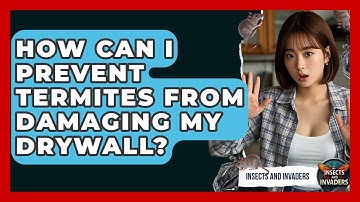How Can I Prevent Termites From Damaging My Drywall? - Insects and Invaders