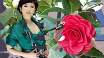 가수 김용임 - 유지나 - 닐리리야- 태평가 ( 민요) 가수 김용임 - 유지나 - 닐리리야- 태평가 ( 민요)