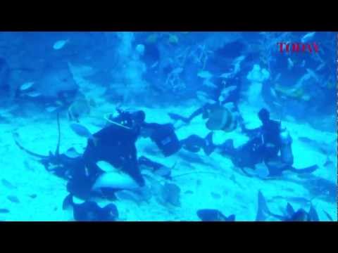 Video till Världens största akvarium öppnat i Singapore