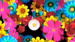 Intro Outro video for Channel - Multi Flowers Transition