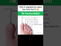 Pair ki ungliyon ke naam kya hote hain? Janiye foot toes ke names aur facts. 👣🤔