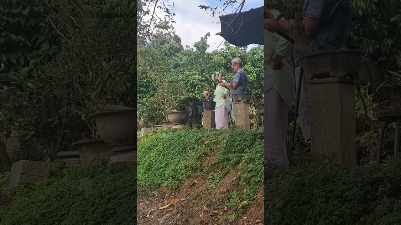 What a happy duck couple!