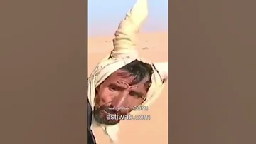 حمار القايلة هههههههه 