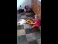Kid, Cat and Bus COLLIDE (Cute!)