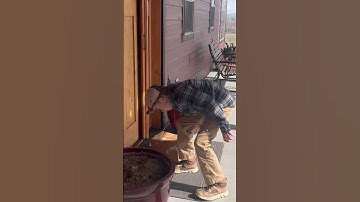 How different delivery companies deliver packages ￼