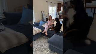 Wat Zouden We Doen Op Een Date? Reageer Met Een Afbeelding