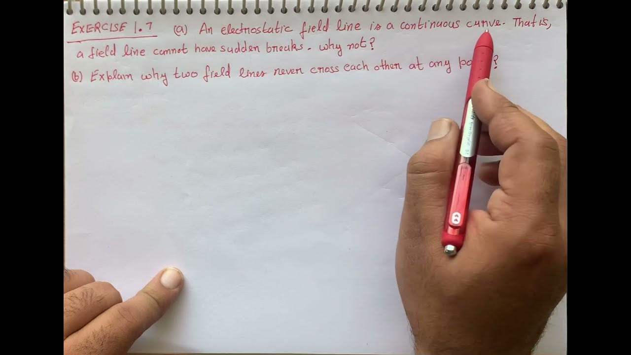 An electrostatic field line is a continuous curve. That is a field line