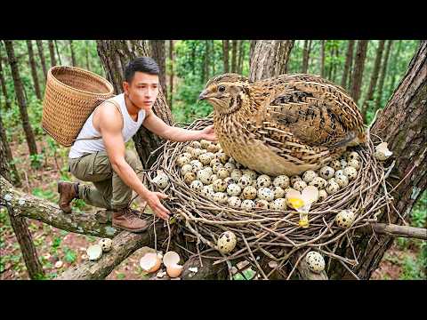Harvesting Quail & Eggs, Selling at Local Market & Building Giant Trellis | Countryside Life