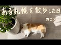 【北海道 札幌】美術館や雑貨屋さん巡り