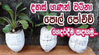 ගෙවතු වගාව සඳහා පරිසර හිතකාමී පොල් පෝචිචියක් නිර්මාණය කරගමු / How to Make Coconut  Pot at home