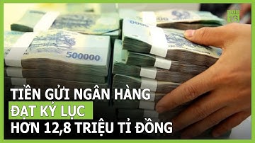 Tiền gửi vào ngân hàng đạt kỷ lục hơn 12,8 triệu tỉ đồng | VTC16