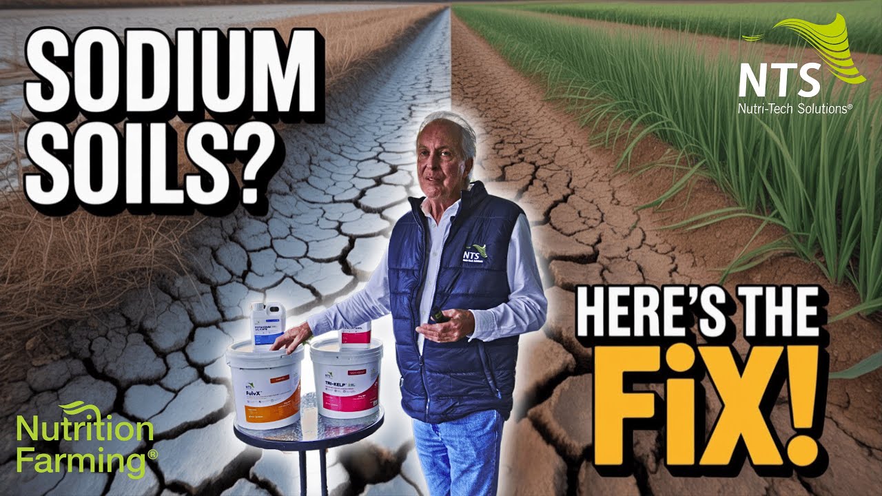 Turn Salty Soils into Productive Land – Proven Strategies that Work - How to S4E1