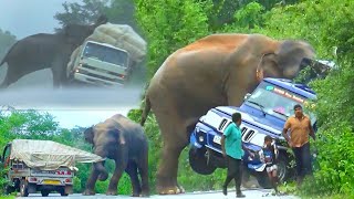 World Top 3 Wild Elephant Attack Vehicle In 2023.