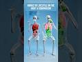 What Smoking Does to Your Internal Organs 🫁 #shortsfeed #shortvideo #nutritiontips #shorts #short