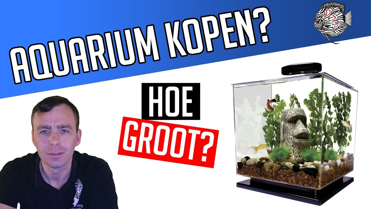 Naschrift soep Dij Een aquarium kopen: wat moet je zeker weten als aquarium beginner? |  Aquarium Sunshine Valley - YouTube