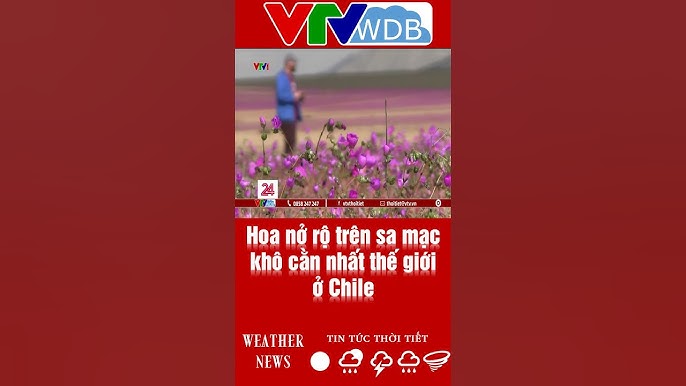 Khát Vọng Vượt Qua Bệnh Tật: Hành Trình Của Chị Em Thư Và Khôi