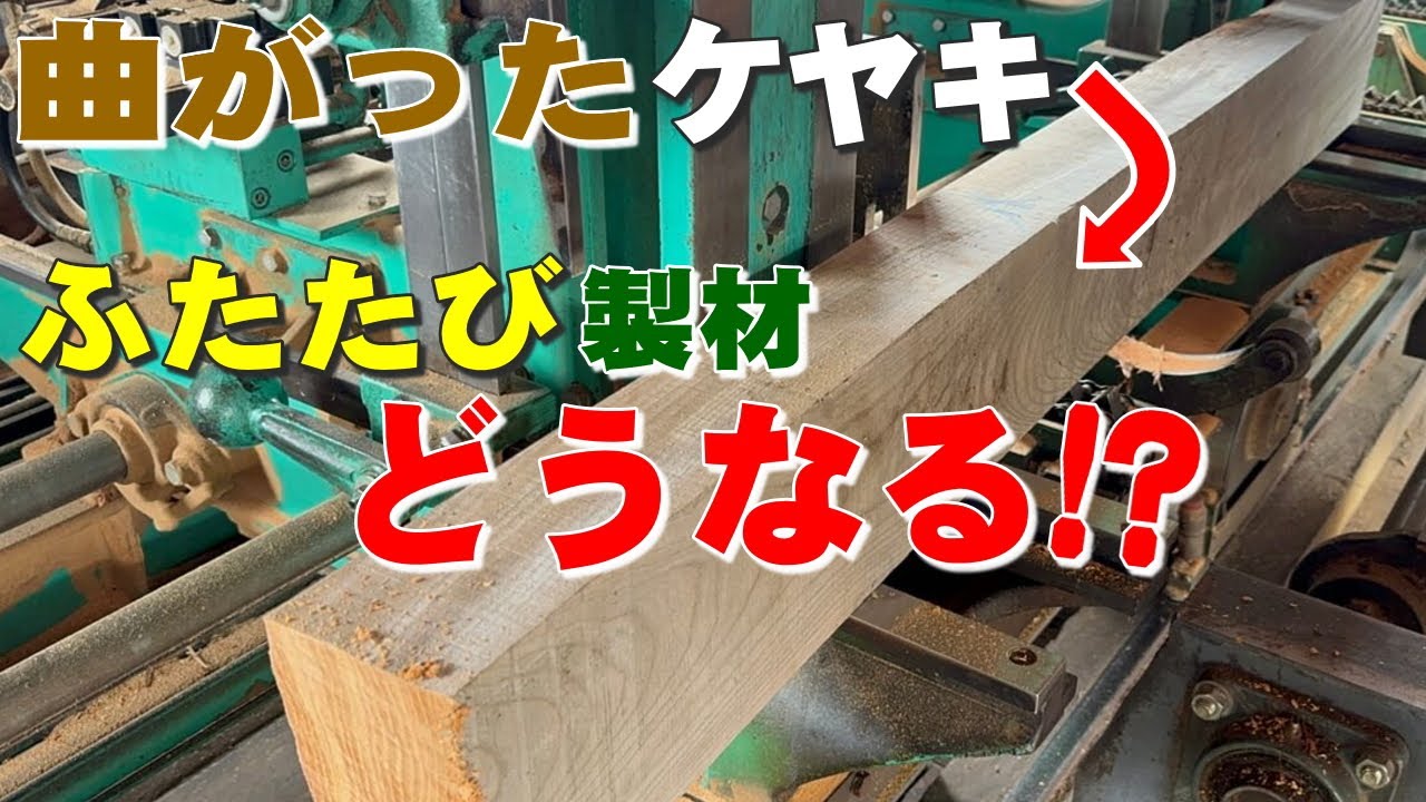 【無言製材】ぐんにゃり曲がったケヤキ材を製材でトリミングしてみた。Wood sawing video to relax to - trimming warped Keyaki wood