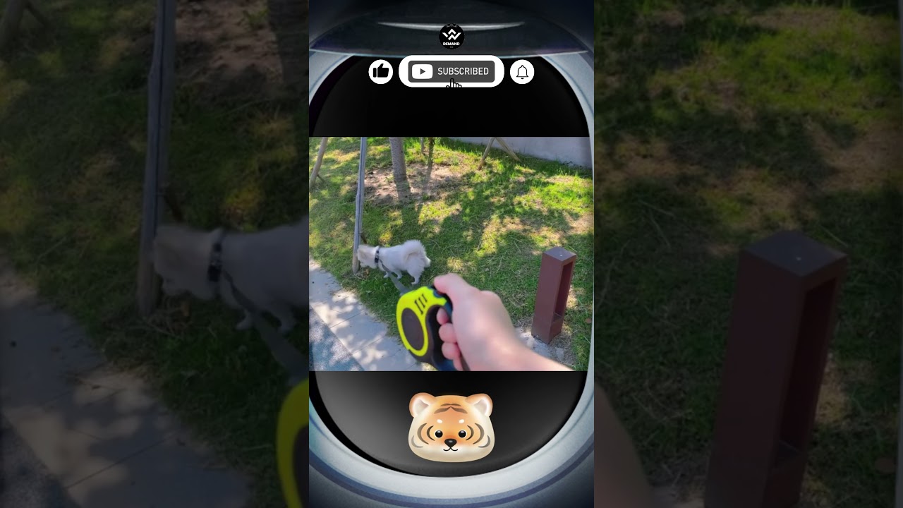 Retractable Dog Leash Automatic Telescopic Tractor Dog Tape | Demand Me