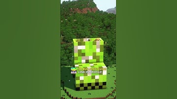 Minecraft Creeper House🏠 3D Guide in bio!