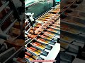 Innovative Tube Cartoning Machine Technology : Best High Speed Box Loading