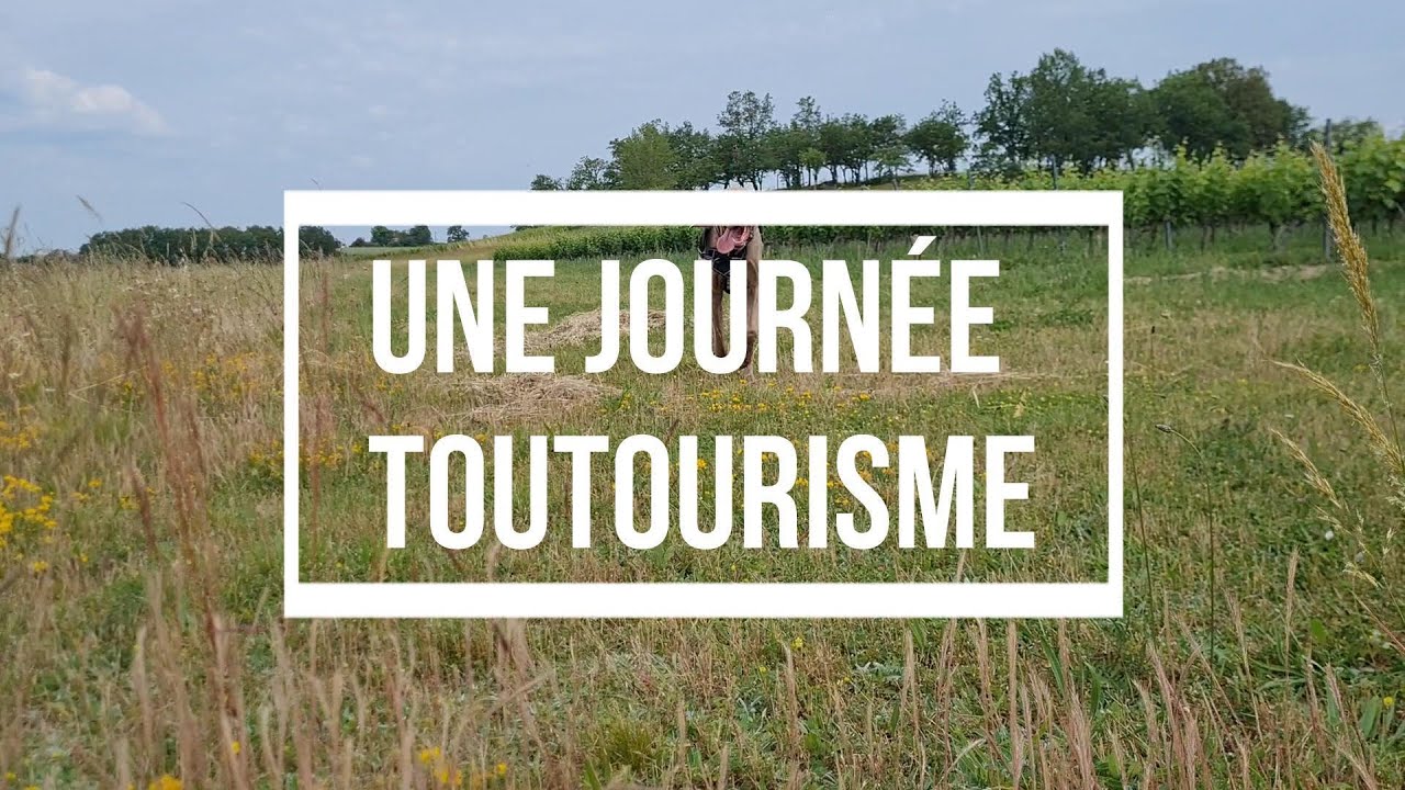 Une journée TouTourisme à Albi 🐶