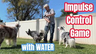 Impulse Control Game with WATER