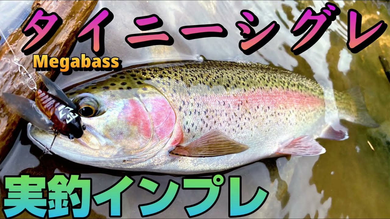 渓流釣りでワーム使ったら衝撃の結果に Youtube