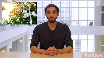 NIH SciBites: Scrutinizing Cells’ Surveillance Systems