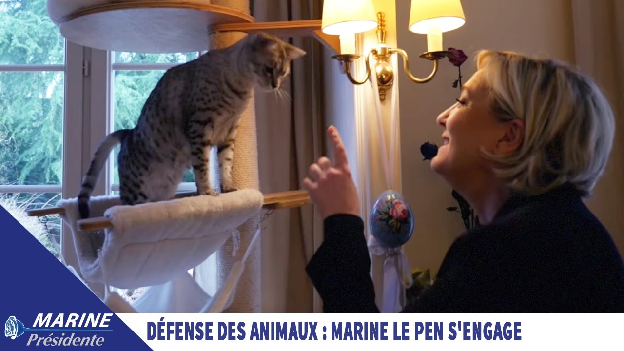 Forte Et Independante Marine Le Pen Avoue Etre Une Femme A Chats Sputnik France Forte Et Independante Marine Le Pen Avoue Etre Une Femme A Chats Sputnik France