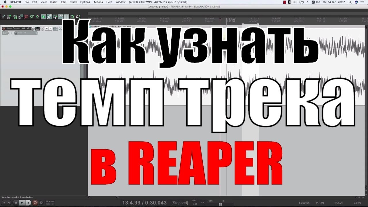 Как определить BPM В Reaper. Рипер БПМ. Как узнать темп песни. Temp temp песни