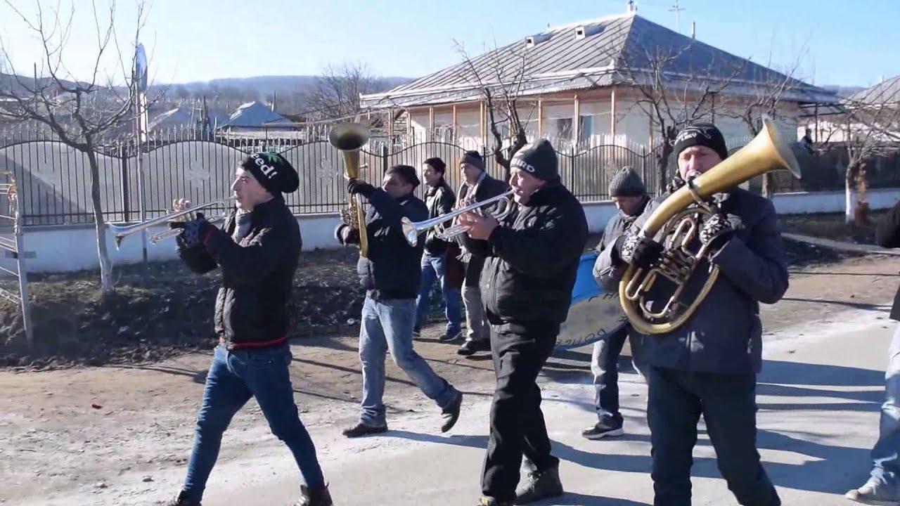 Capra de la Plopana 2016