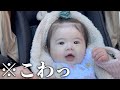 生後５ヶ月でしっかりとした日本語話してしまう赤ちゃん..............。【ピジョン Runfee RB3】