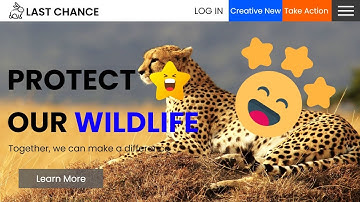 How to Create a animated Website Using html and CSS | Wild life website | Coding Karunadu #newtoyou